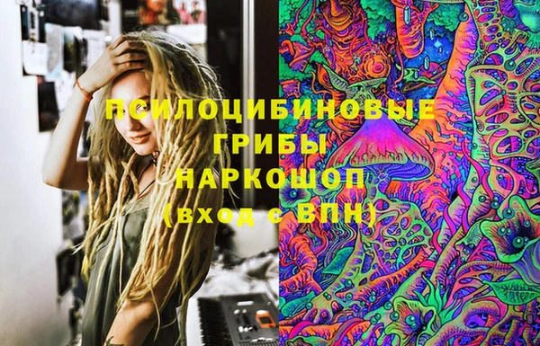 соль ск Абаза
