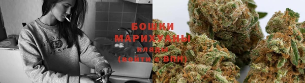 соль ск Абаза