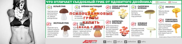 крисы Алексин