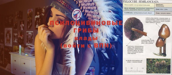 мескалин Алзамай